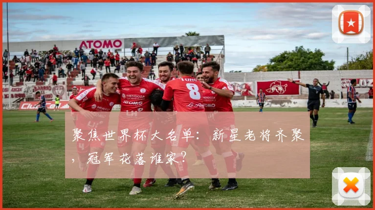 聚焦世界杯大名单：新星老将齐聚，冠军花落谁家？
