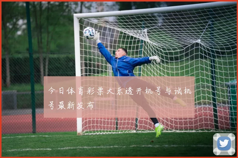 今日体育彩票大乐透开机号与试机号最新发布