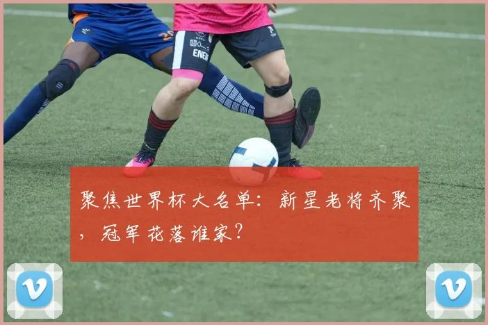 聚焦世界杯大名单：新星老将齐聚，冠军花落谁家？